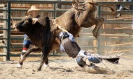 西班牙斗牛视频完整版,西班牙斗牛艺术与传统的视觉盛宴