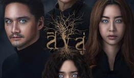 特黄一级视频,一场禁忌的视觉盛宴