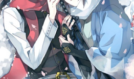 刀剑乱舞动漫第一季,剑舞风云，战国传奇